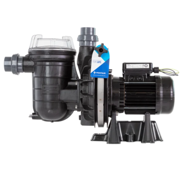 Pompe La Sta-Rite 1,5 CV Mono (20 m³/h) - Pentair