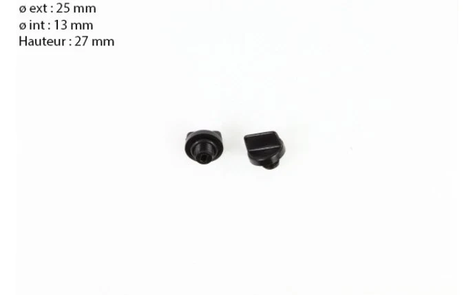 Bouchon + joint de vidange pour pompe Sta-Rite (x2) - Pentair