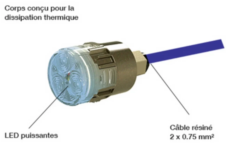 Mini projecteur LED piscine à visser sur le refoulement - mini-Brio - Blanc Froid - 14W - CCEI