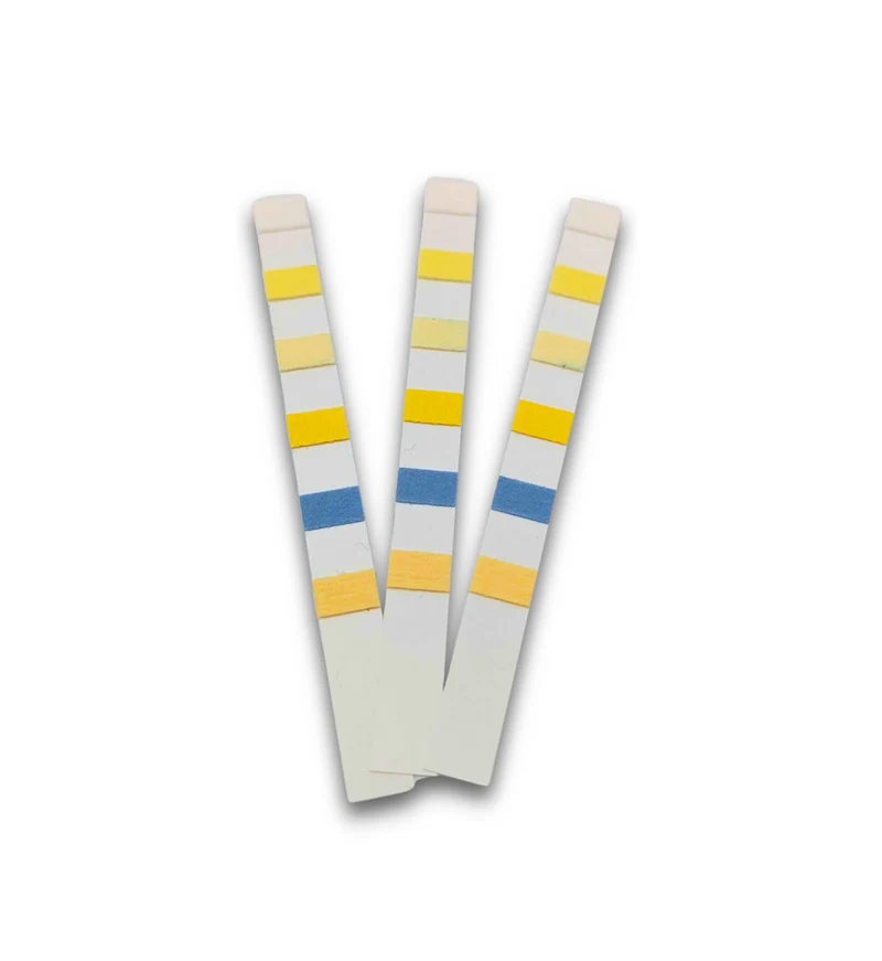 Pool & Spa Test Strips 6-in-1