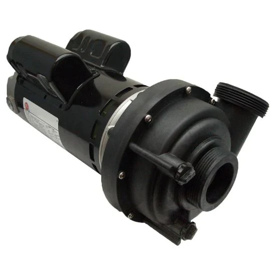 Pompe Sundance 230v / 2 Vitesses / Décharge de côté 2" (Sans Base)