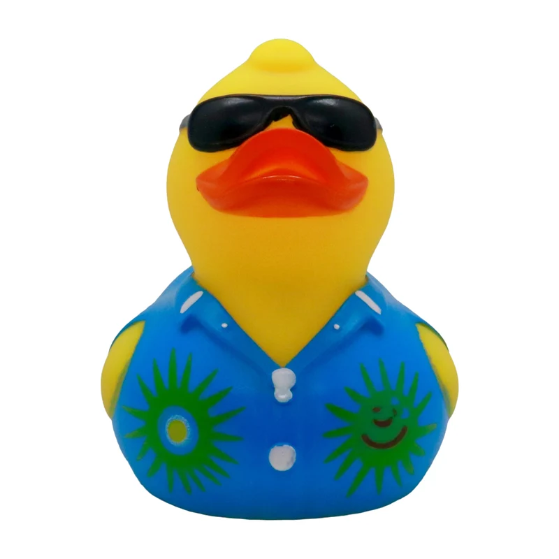 Canard Amusant (1)