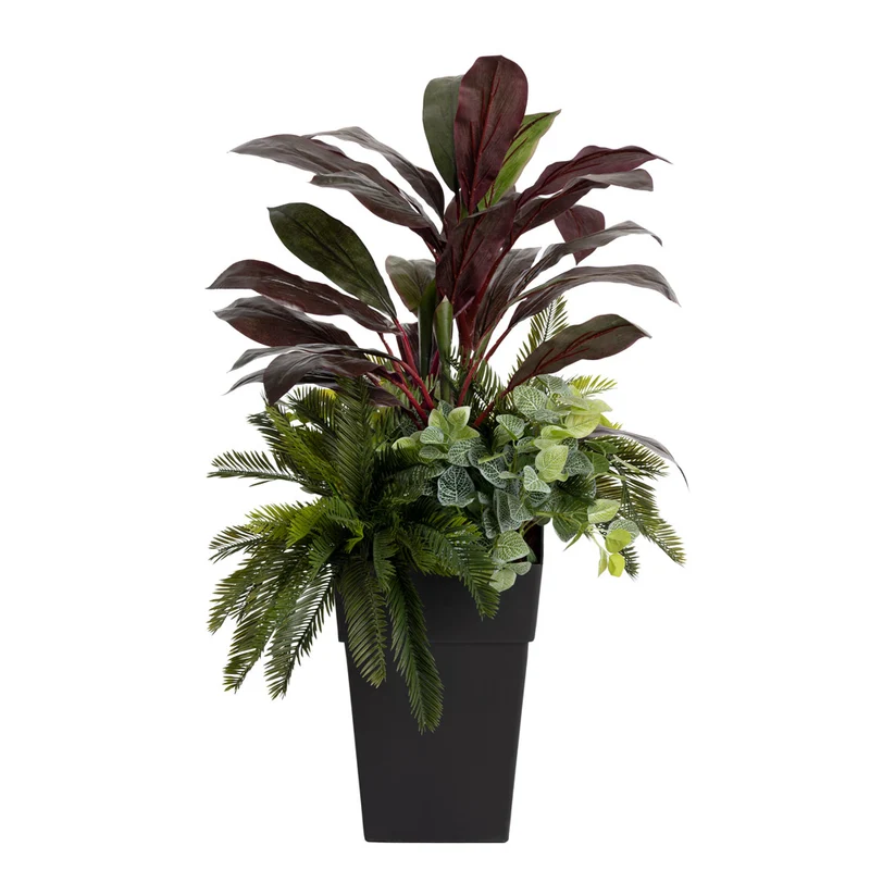 Jardinière Cordyline Bourgogne & Verdure Pot Noir