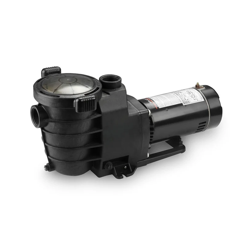 Pompe Silent pour Piscine Creusée 1.5hp Distinction