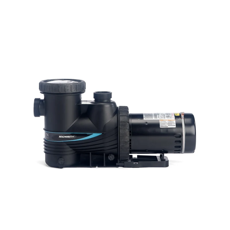 Pompe Magnum Force 2"/0.75hp/115v/230v pour Piscine Creusée (Subvention)