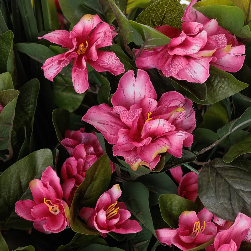 Jardinière d'Azalées Roses & Dracaena Pot Pâle