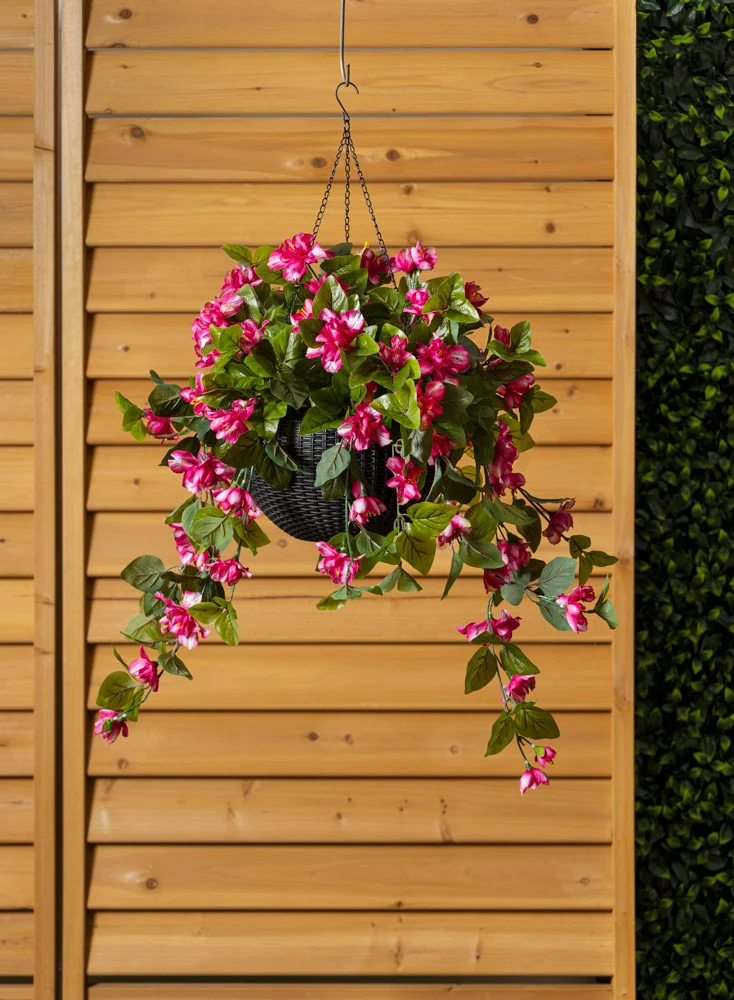 Jardinière d'Azalées Roses Panier Noir