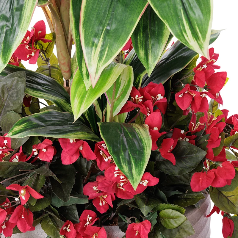 Jardinière Cordyline & Bougainvilliers Rouges Pot Pâle