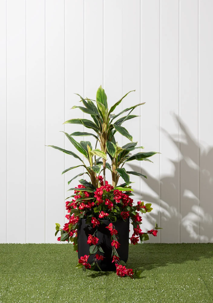 Jardinière Cordyline & Bougainvilliers Rouge Pot Noir Rond