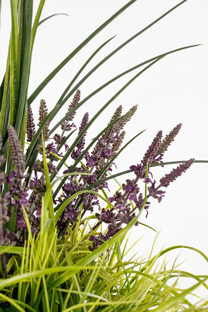 Arrangement Lavande & Verdure Pot Noir