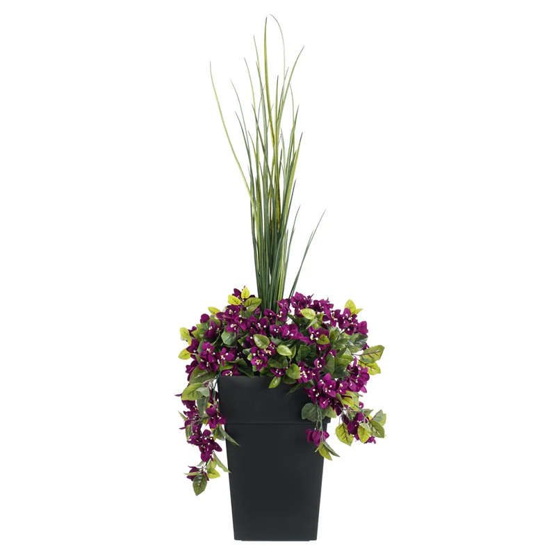 Jardinière de Bougainvilliers Mauves Pot Noir