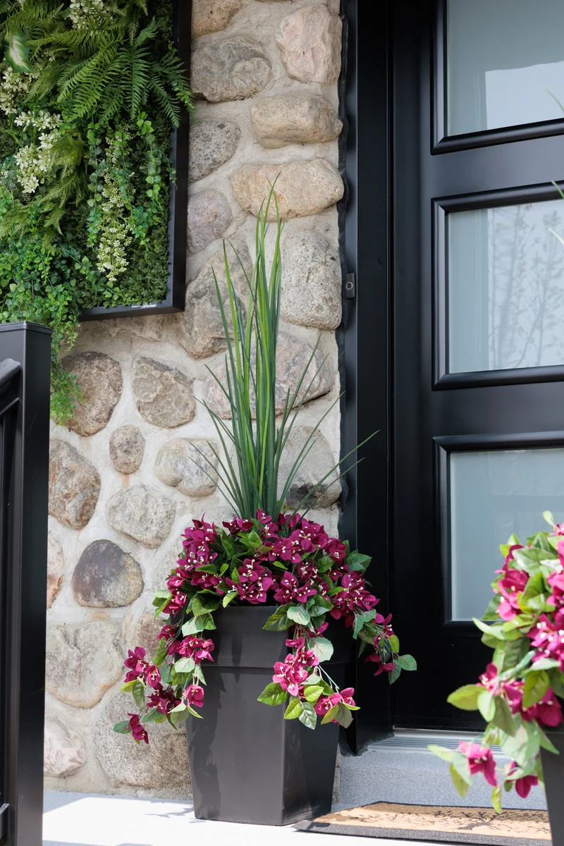 Jardinière de Bougainvilliers Mauves Pot Noir