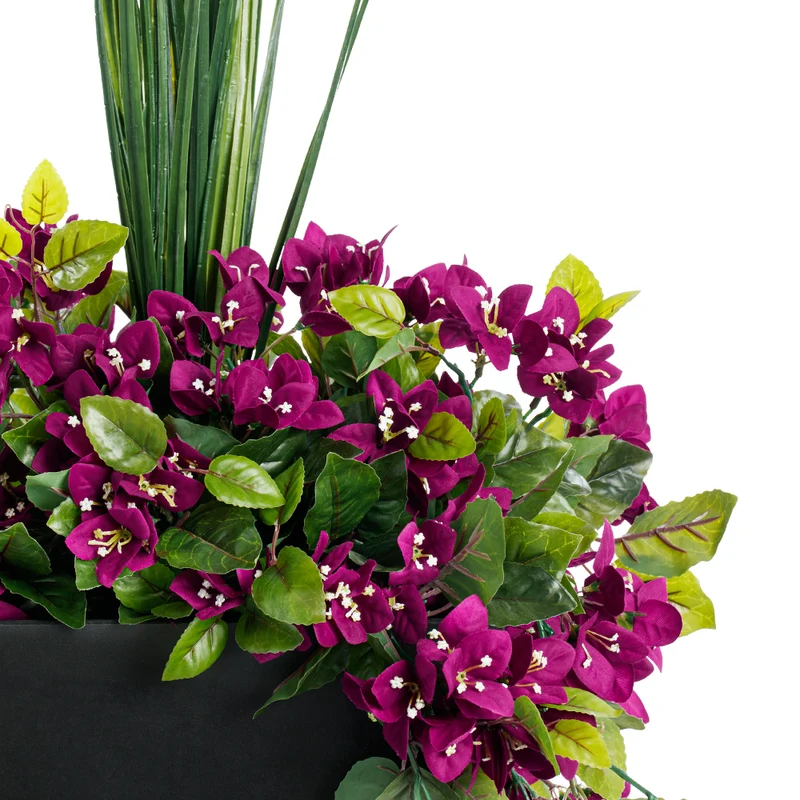 Jardinière de Bougainvilliers Mauves Pot Noir