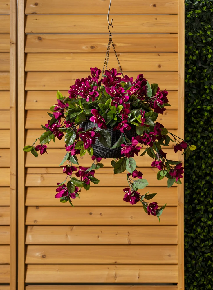 Jardinière de Bougainvilliers Mauves Panier Noir