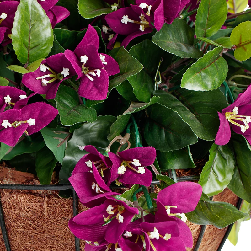 Jardinière de Bougainvilliers Mauves Panier Noir
