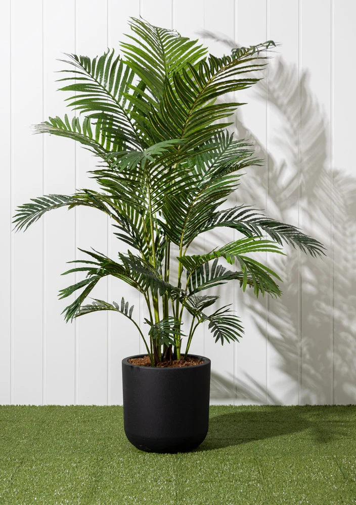 Palmier Areca Pot Noir