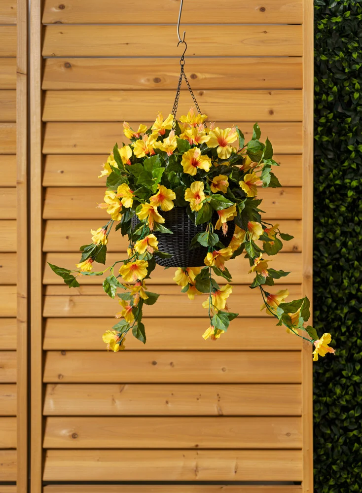 Jardinière d'Hibiscus Jaunes Panier Noir