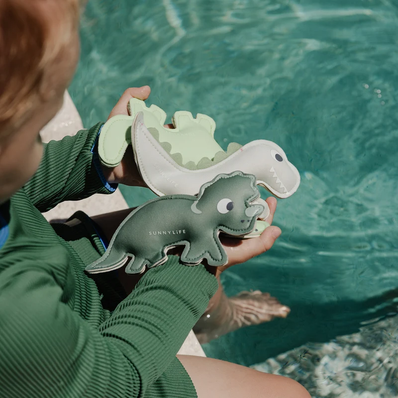 Dive Buddies - Dino Multi