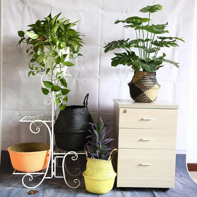 Cache Pot Osier Noir