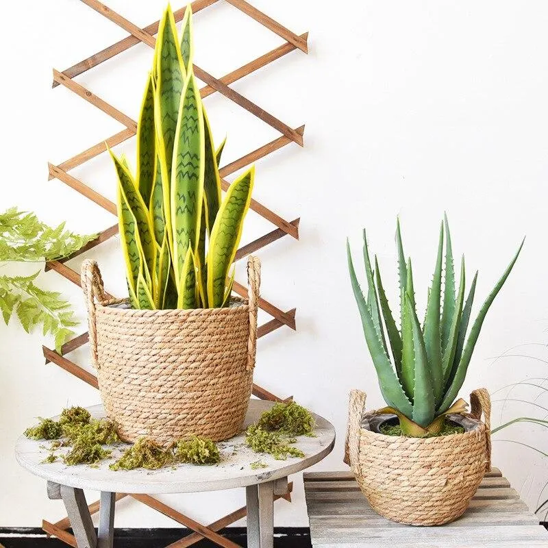 Cache Pot Plante Osier