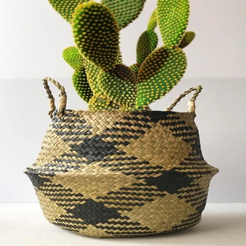 Cache Pot Osier Cactus