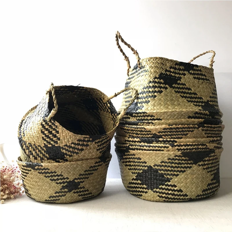Cache Pot Osier Cactus