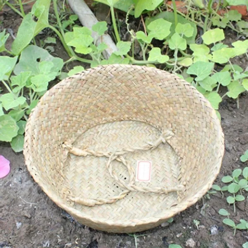 Cache Pot Osier Extérieur