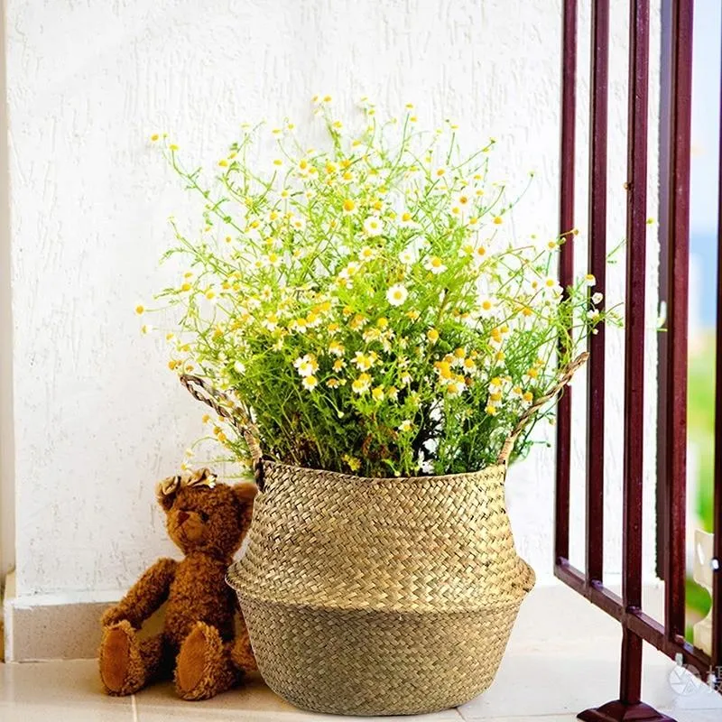 Cache Pot Osier 20 cm