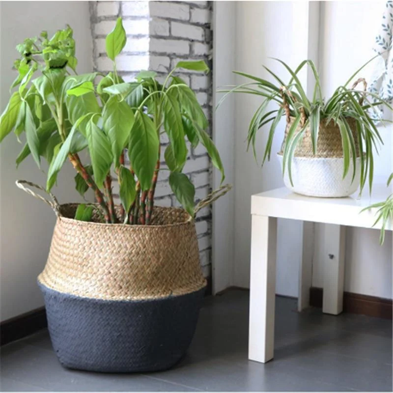 Cache Pot Osier Moitié Noir