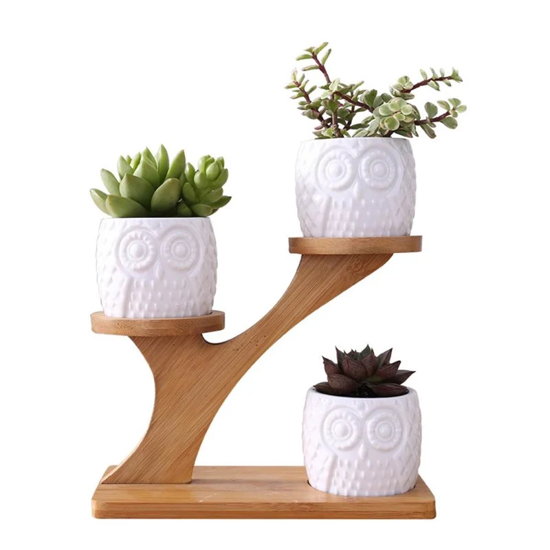 Porte Plante pour Bonsaï