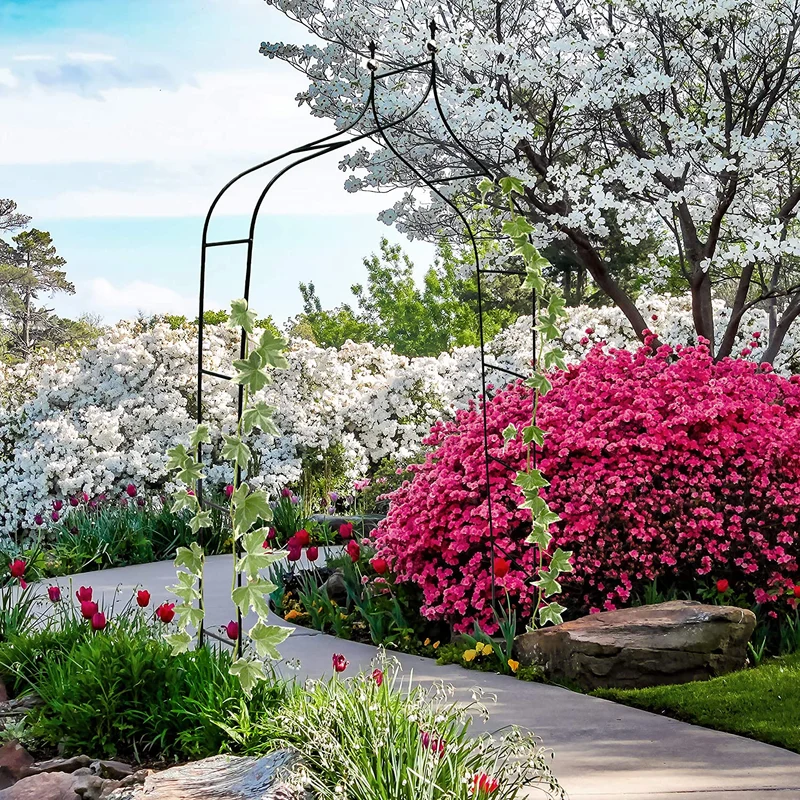 Arche de Jardin pour Plantes Grimpantes