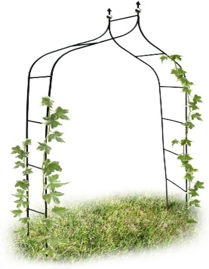 Arche de Jardin pour Plantes Grimpantes
