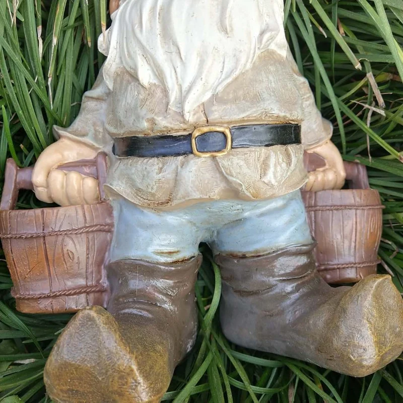 Nain de Jardin qui Porte de l'Eau