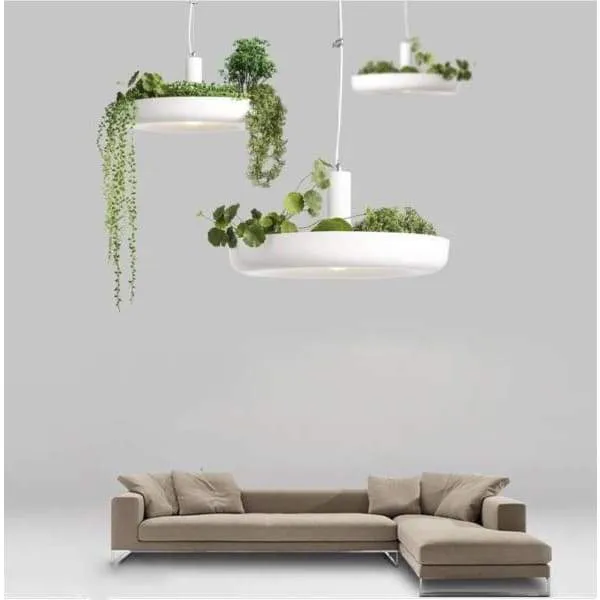 Porte Plante Plafond Luminaire