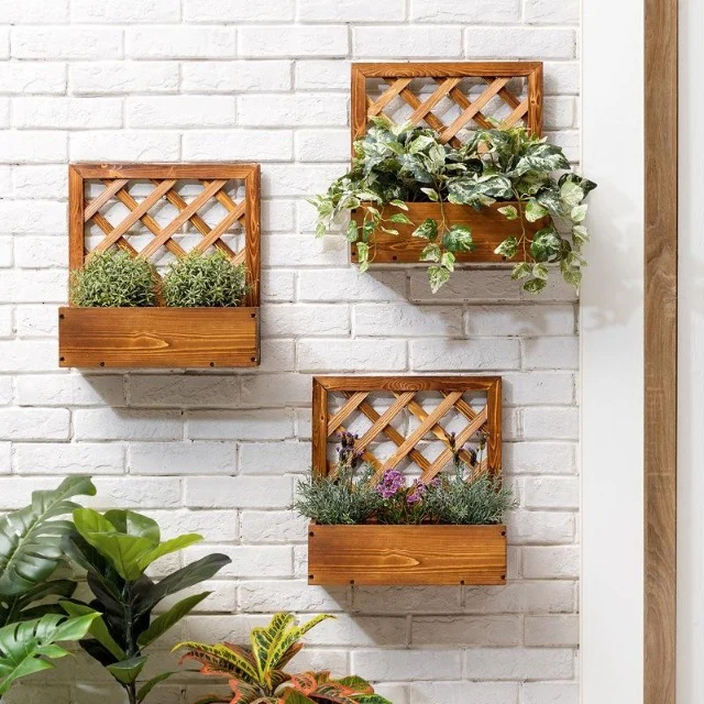 Support Mural en Bois pour Plantes d'Intérieur