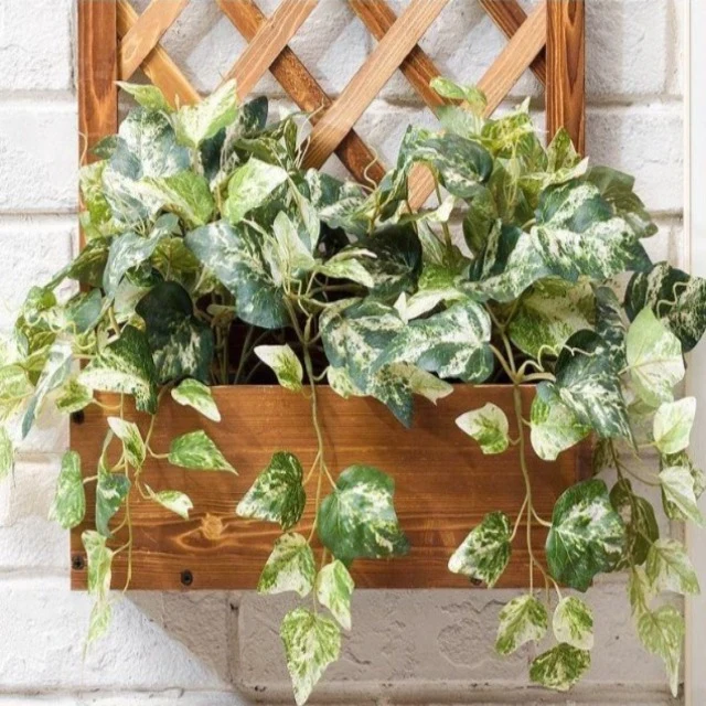 Support Mural en Bois pour Plantes d'Intérieur