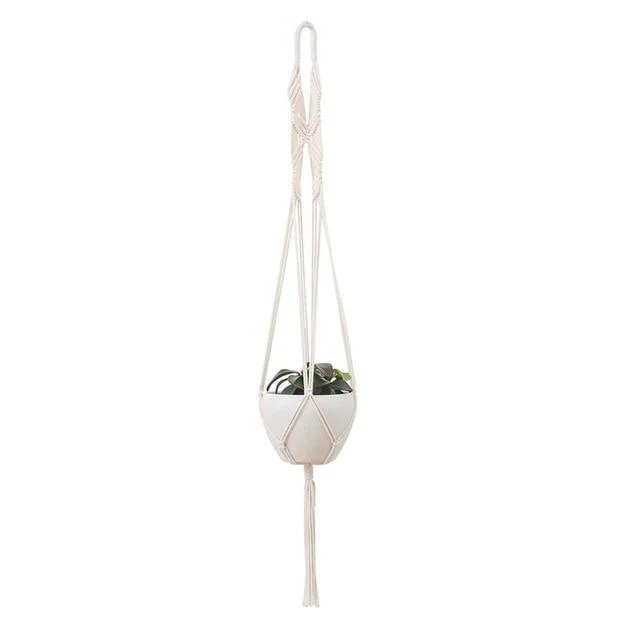 Support Mural pour Plante Suspendue
