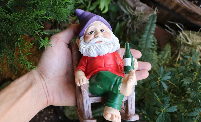 Nain de Jardin Assis