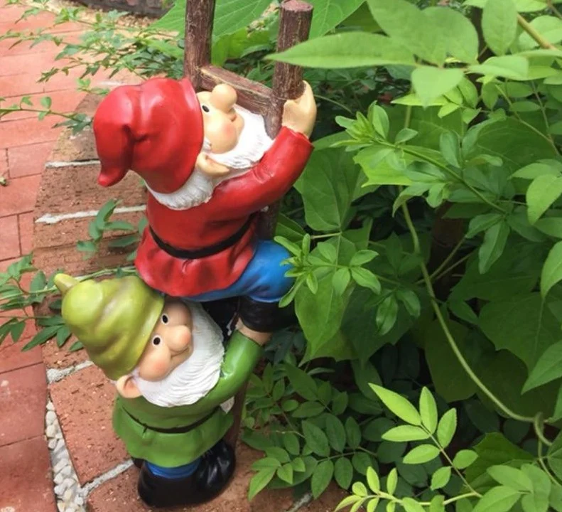 Nain de Jardin Drôle