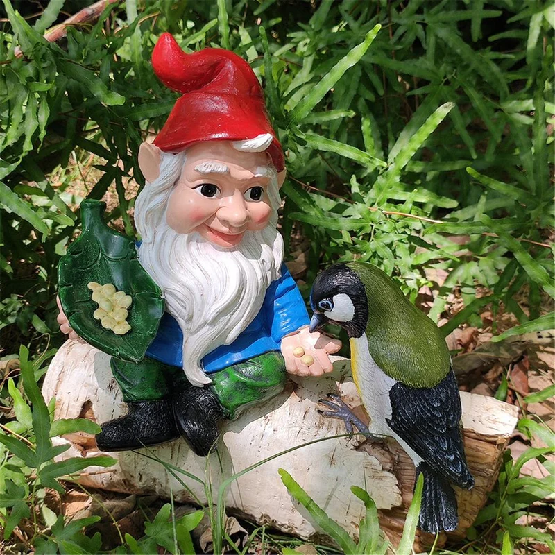 Nain de Jardin Buche