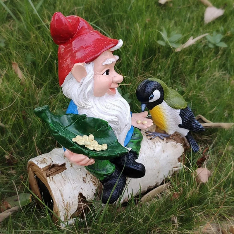 Nain de Jardin Buche