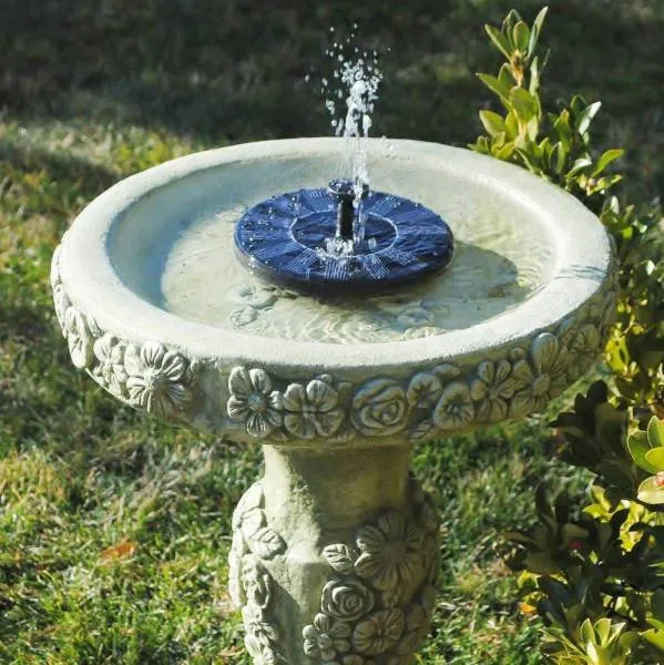 Fontaine Solaire pour Oiseaux