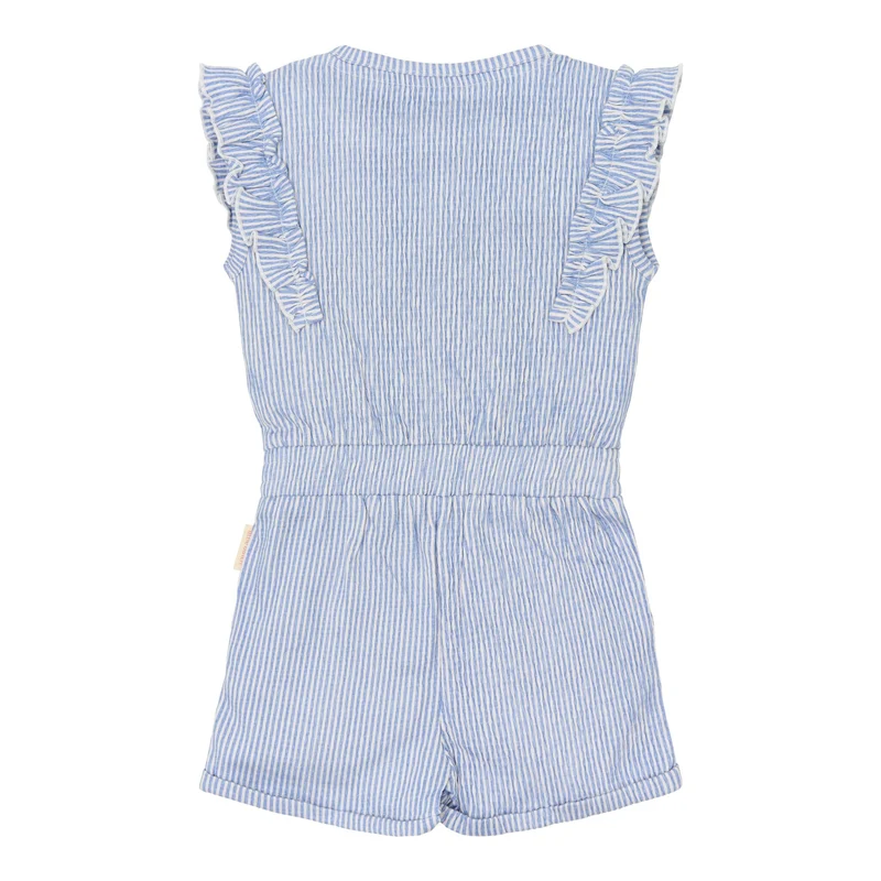 Tuinbroek - Blauw - Denim Blue Stripe
