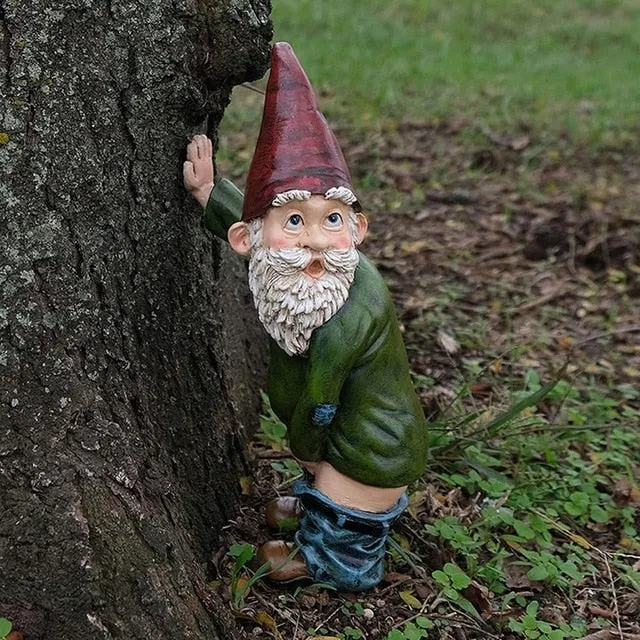 Nain de Jardin qui fait Pipi