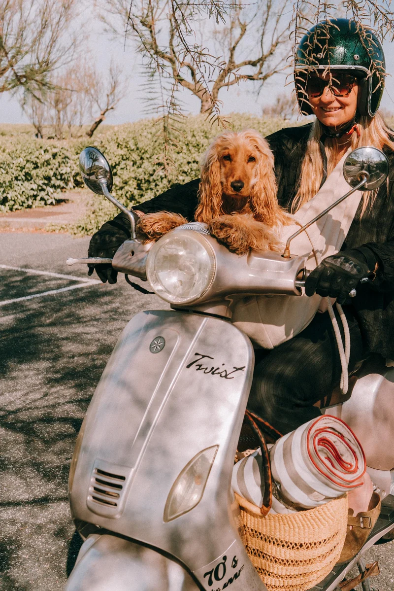 Plaid nomade pour chiens et chats - collection Maison Jean Vier 2023
