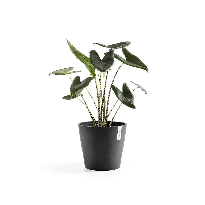 VASO AMSTERDAM 30x26,5CM GRIGIO SCURO