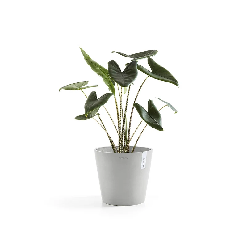 VASO AMSTERDAM 30x26,5CM GRIGIO CHIARO