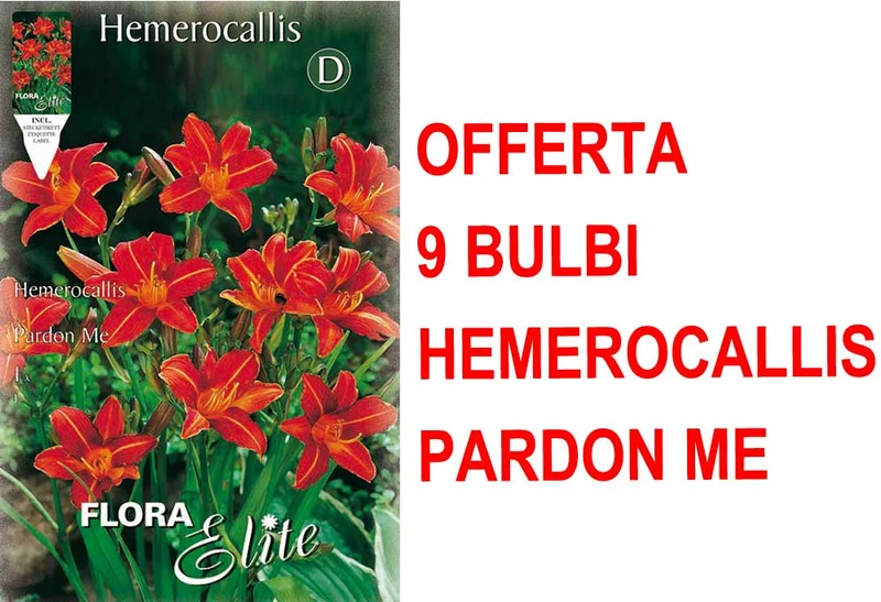 OFFERTA 9 BULBI DI HEMEROCALLIS PARDON ME