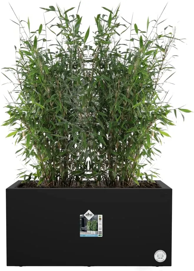 VASO VIVO NEXT LONG 60CM LIVING BLACK NERO