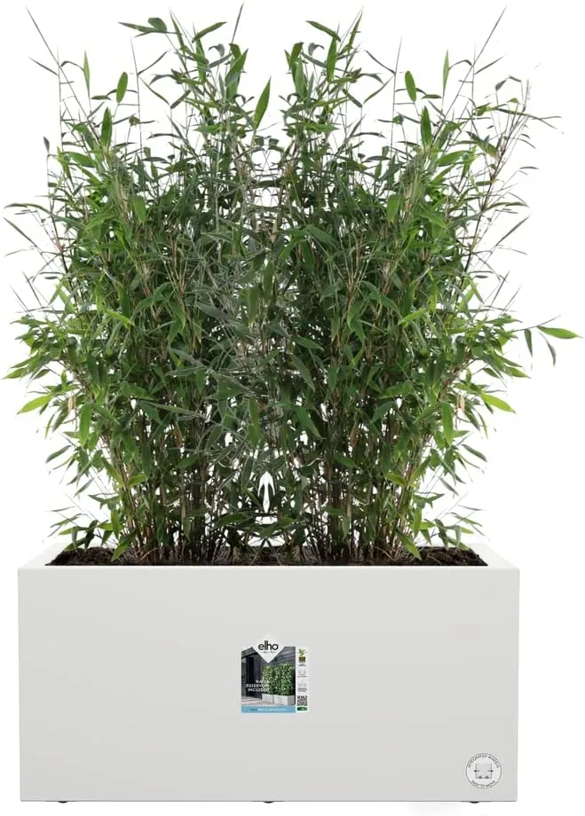 VASO VIVO NEXT LONG 80CM BIANCO
